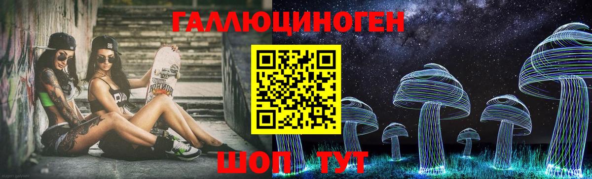 Галлюциногенные грибы Psilocybine cubensis Киреевск