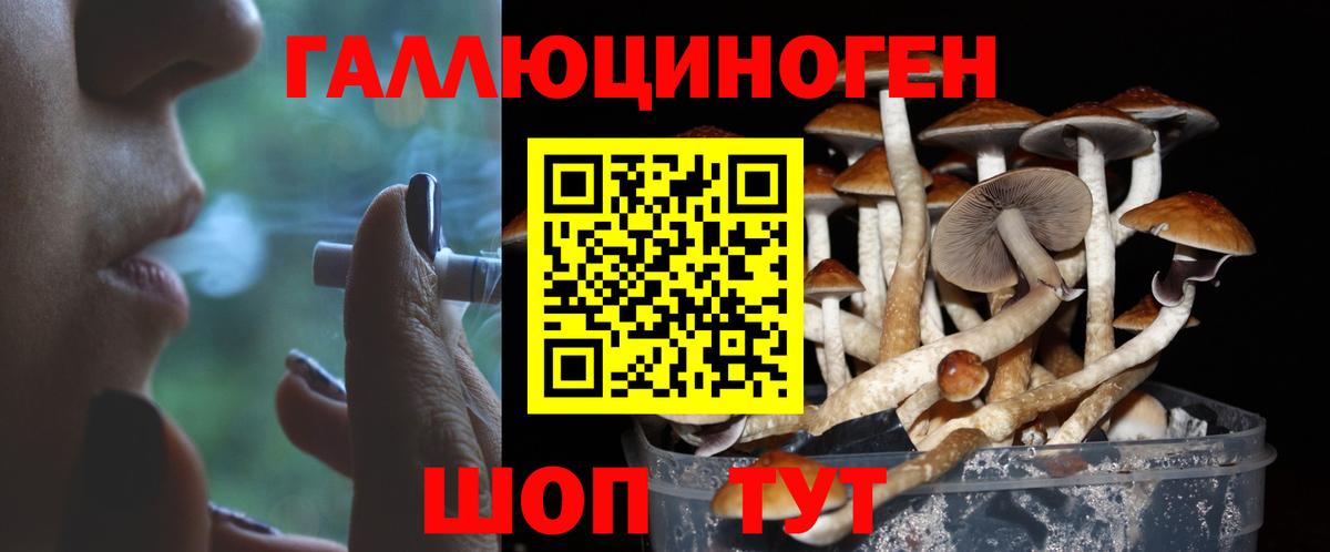 Киреевск  Галлюциногенные грибы Psilocybe  Вход с VPN 